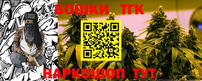 МДПВ Гай