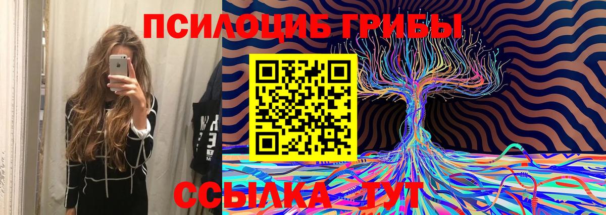 Галлюциногенные грибы Psilocybine cubensis Нальчик