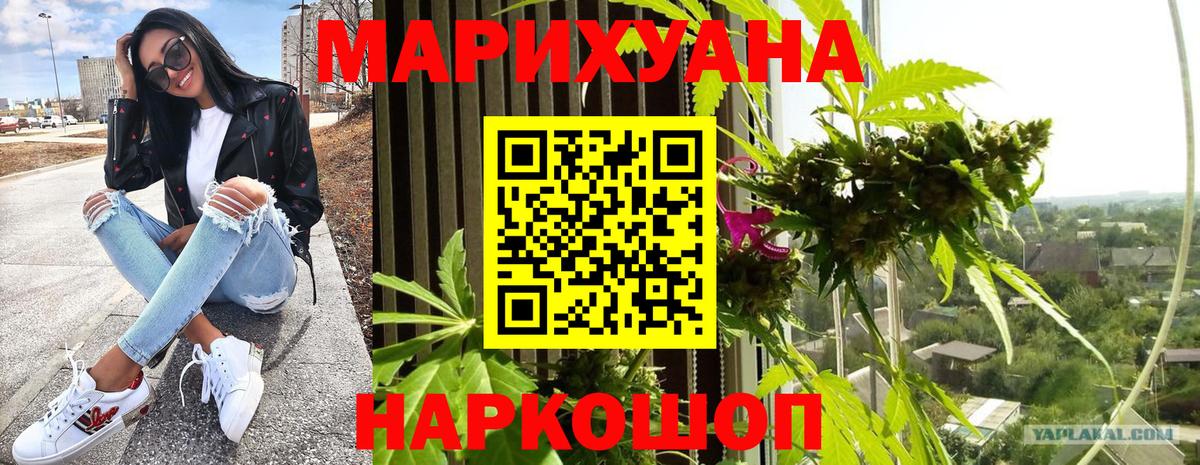 Бошки марихуана White Widow Нальчик